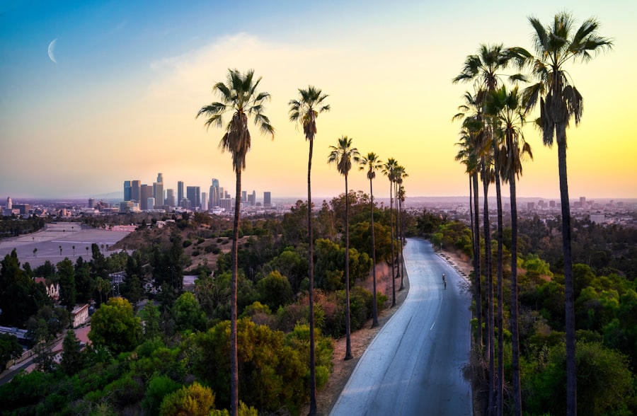 Palm trees rising in front of Los Angeles buildings
