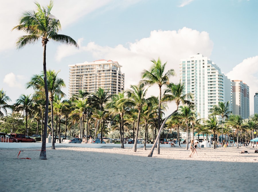 Palm trees in front of Miami buildings